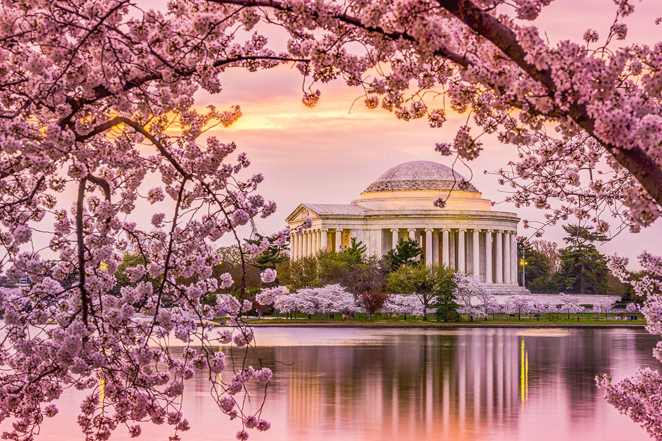 000066758771jefferson-memorial